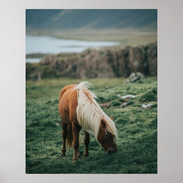 AFFICHE NICE HORSE (Devant)
