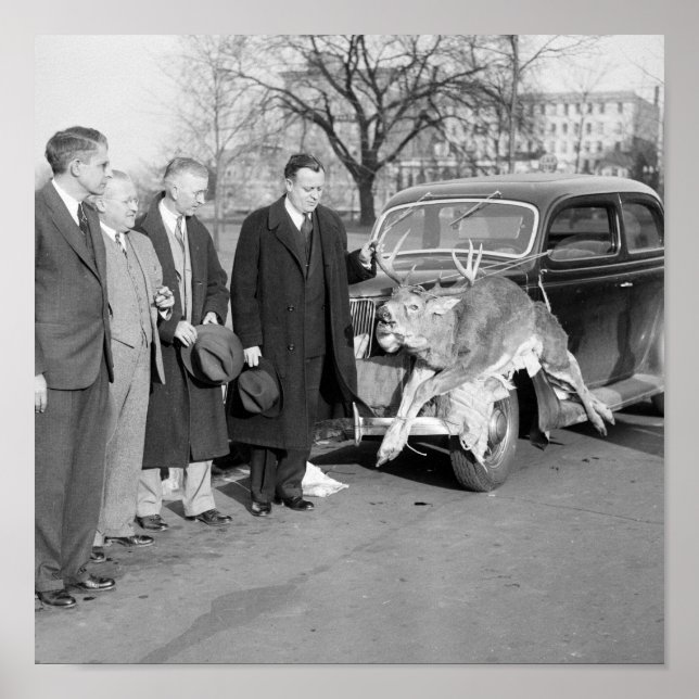 Affiche Nice Rack, 1938 (Devant)