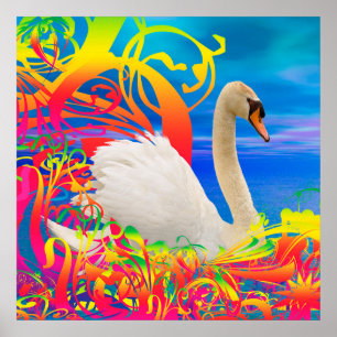 Affiche Nid de cygne