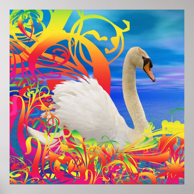 Affiche Nid de cygne (Devant)