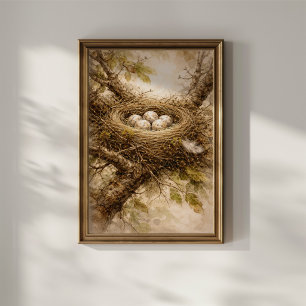 Affiche Nid d'oiseau vintage avec des œufs