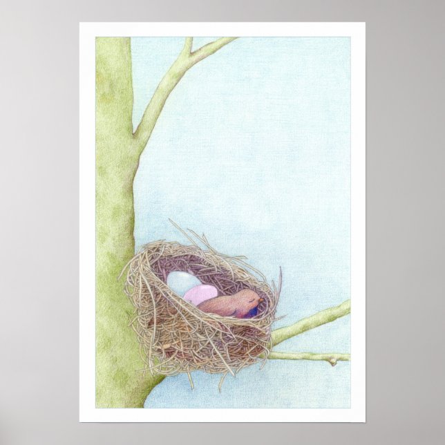 Affiche Nid d'oiseaux (Devant)