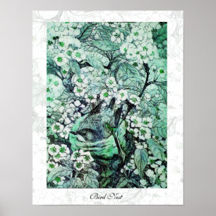 Affiche NID OISEAU, vert blanc