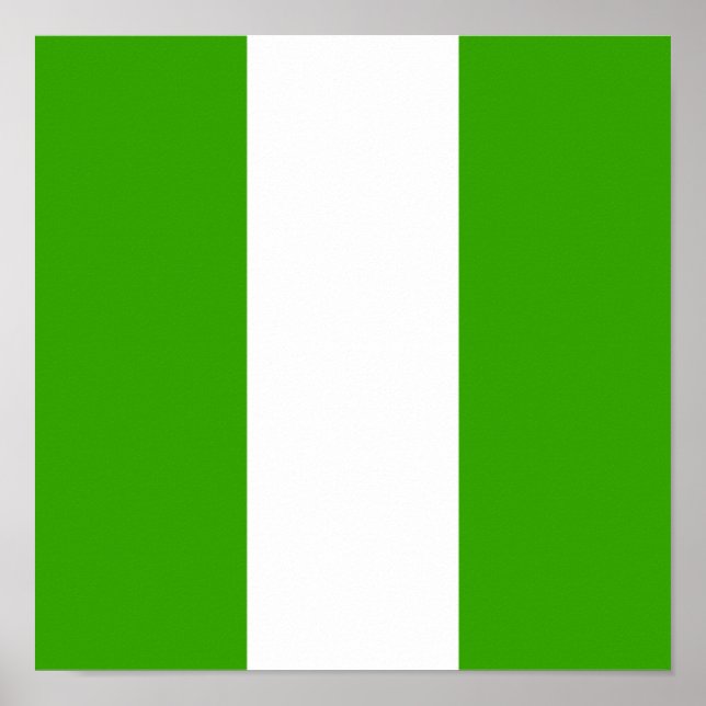 Affiche Nigeria Drapeau Afrique Nigérian Pays Pays Home Pa (Devant)