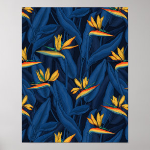 Affiche Night bird of Paradise garden 2