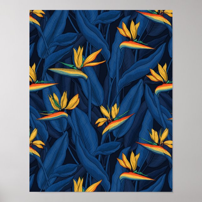 Affiche Night bird of Paradise garden 2 (Devant)
