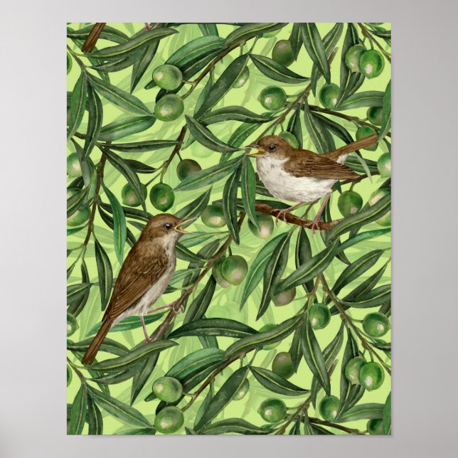 Affiche Nightingales dans l'olivier 2 (Devant)