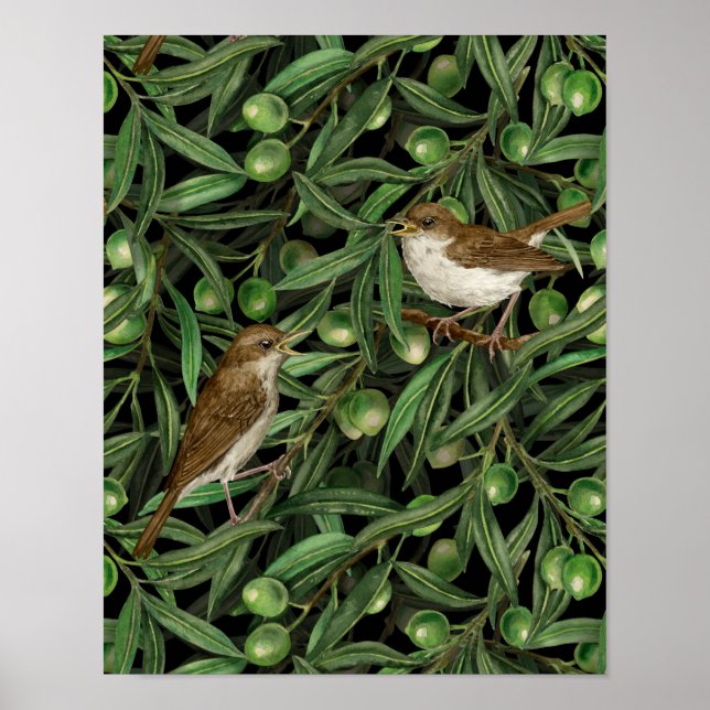 Affiche Nightingales dans l'olivier 3 (Devant)