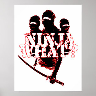 AFFICHE NINJA CE QUI ?