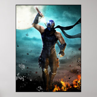 Affiche ninja gaiden