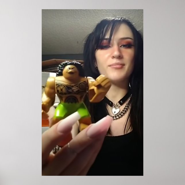 Affiche Ninjagobabe2001 (Devant)