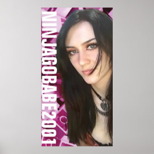 AFFICHE NINJAGOBABE2001