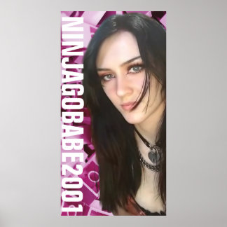 AFFICHE NINJAGOBABE2001