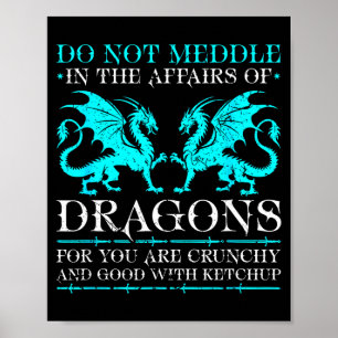 Affiche N'interférez Pas Avec Les Affaires Des Dragons Fan