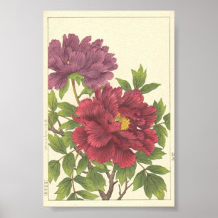 Affiche Nishimura Hodo Pivoine Fleurs Japonaises Beaux-Art
