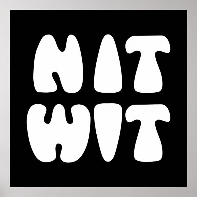 AFFICHE NITWIT (Devant)