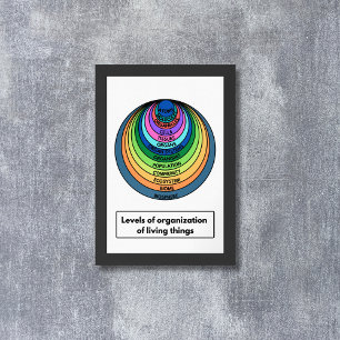 Affiche Niveaux d'organisation des êtres vivants