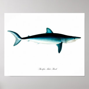 Affiche No. 4 d'impression d'art d'affiche de requin de