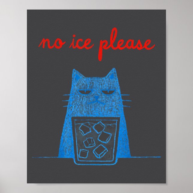 Affiche No Ice Please Cat Abolish Chinga La Migra Meme Fun (Devant)