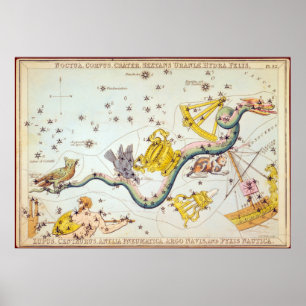 Affiche Noctua, Corvus, Cratère, etc.