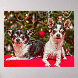 Affiche Noël au Chihuahua