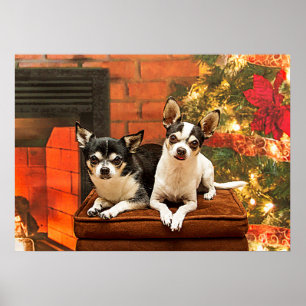 Affiche Noël Chihuahua