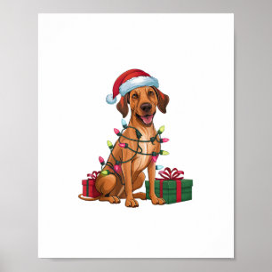 Affiche Noël Éclairage Santa Hat Thai Ridgeback Chien Chri
