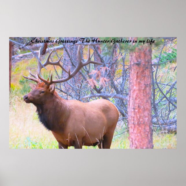 Affiche Noël Salutations du chasseur Rassembleur dans ma v (Devant)