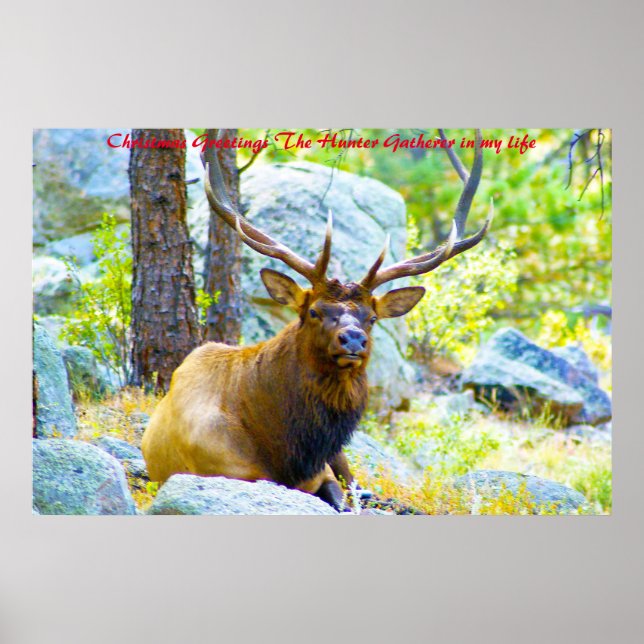 Affiche Noël Salutations du chasseur Rassembleur dans ma v (Devant)