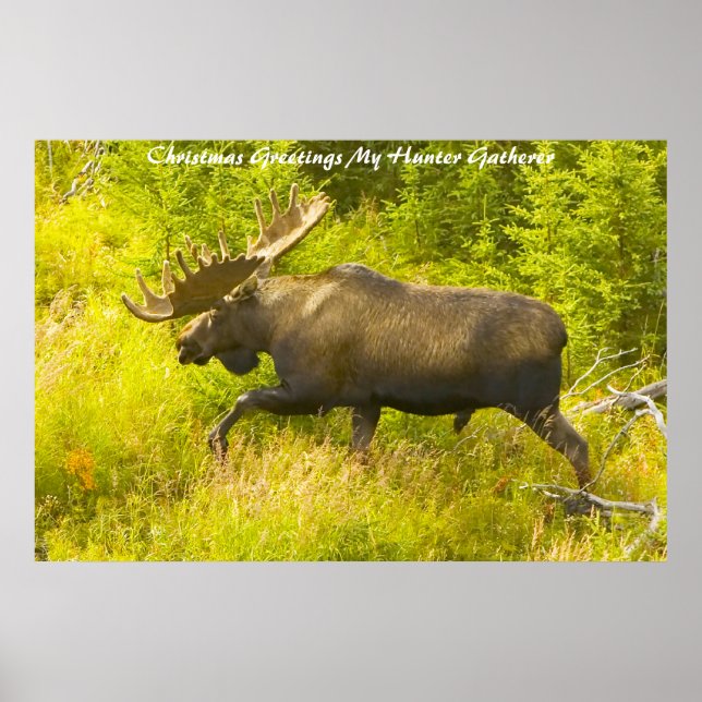 Affiche Noël Salutations Mon Hunter Gatherer (Devant)