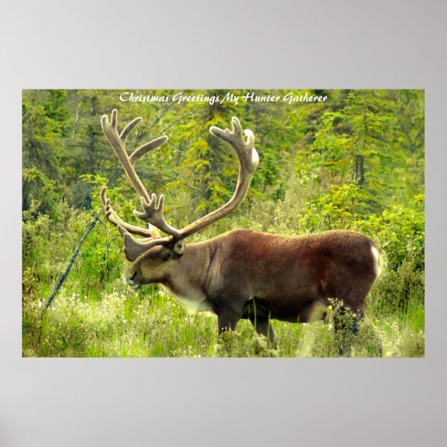 Affiche Noël Salutations Mon Hunter Gatherer (Devant)
