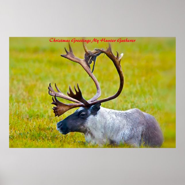 Affiche Noël Salutations Mon Hunter Gatherer (Devant)