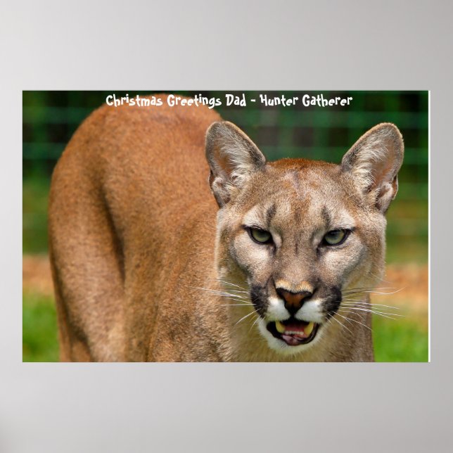 Affiche Noël salutations Papa Hunter Gatherer (Devant)