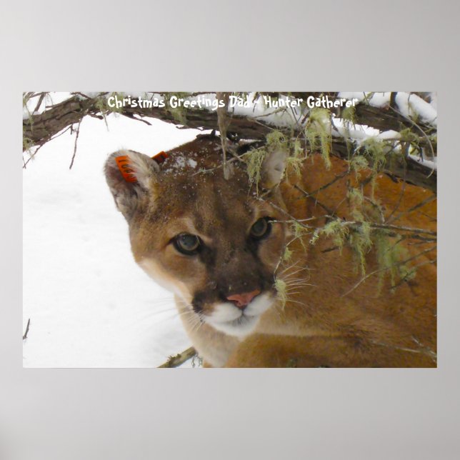 Affiche Noël salutations Papa Hunter Gatherer (Devant)