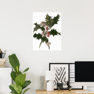 Affiche Noël vintage, plante de houx avec des baies rouges
