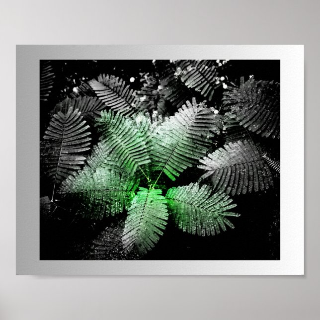 Affiche Noir blanc vert Tropical Printable Art (Devant)