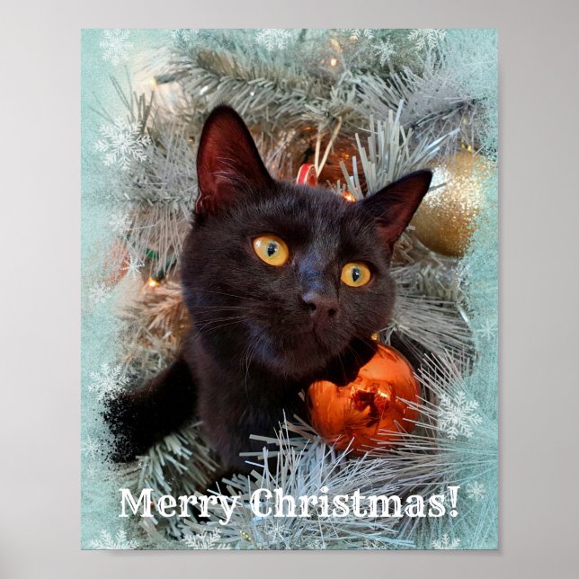 Affiche Noir Chat Joyeux Noël (Devant)