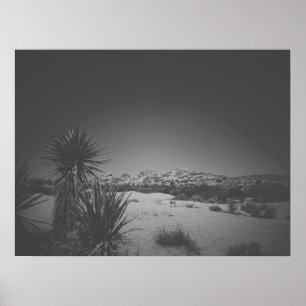 Affiche Noir cinématique Noir noir et blanc Joshua Tree