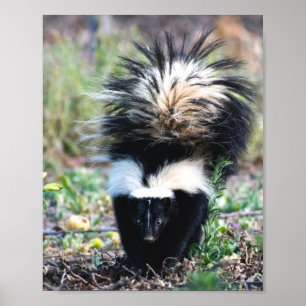 Affiche Noir et blanc