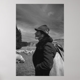 Affiche Noir et blanc 1968 Herder allemand de mouton