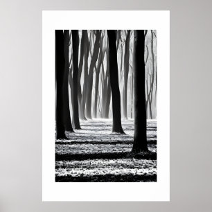 Affiche Noir et blanc, création de motifs forestiers.