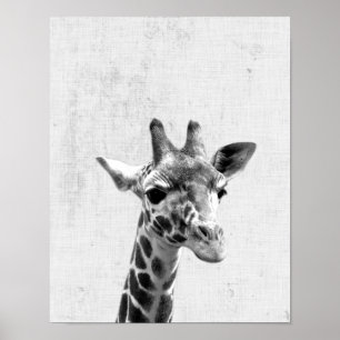 Affiche Noir et blanc Peekaboo Giraffe minimaliste Nursery