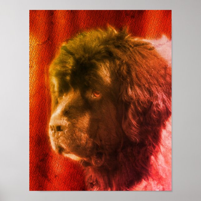 Affiche Noir Et Blanc Terre-Neuve Chien Visage Abstrait (Devant)