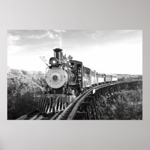 affiche noire et blanche de train_Hawaii de canne
