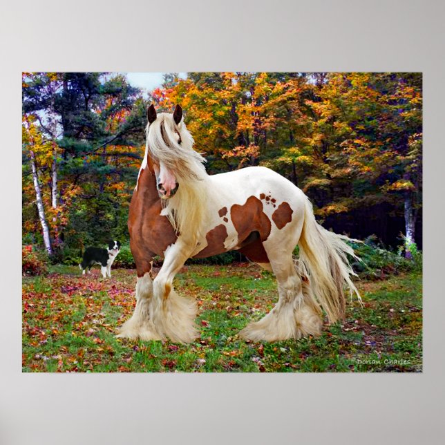 Affiche "Nokomis" (Devant)