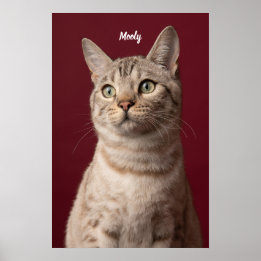 Affiche Nom de chien et de chat personnalisé Imprimantes p