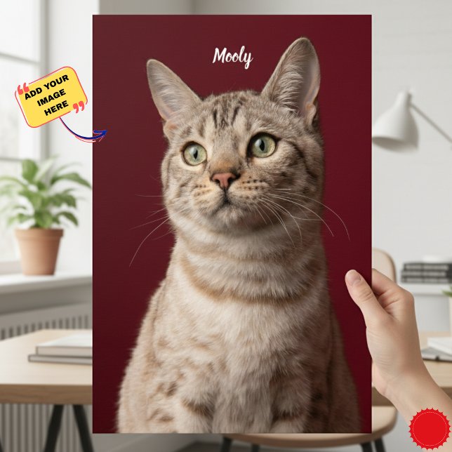 Affiche Nom de chien et de chat personnalisé Imprimantes p (Personalized Dog & Cat Name Photo Prints, Instant Poster)
