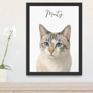 Affiche Nom de script de portrait de chat de compagnie à l