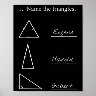 Affiche Nom drôle de professeur de mathématiques Les trian