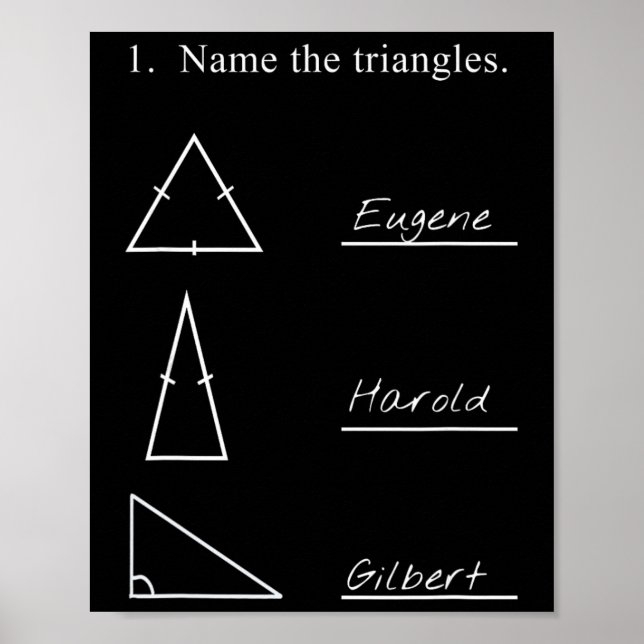 Affiche Nom drôle de professeur de mathématiques Les trian (Devant)